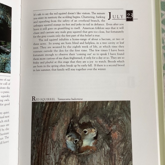 Close to Home - A Canadian Country Diary - Bill Ivy - Picture 9 of 10